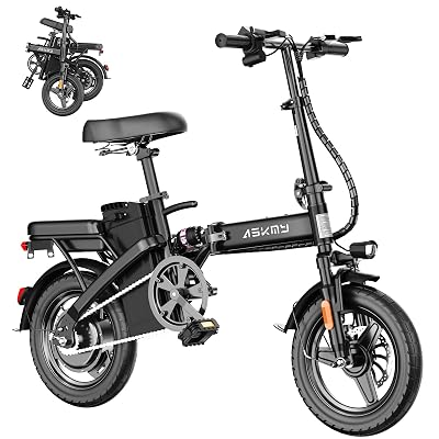 RPINT Foldable Electric Bike for Adults and Teens with 750W Peak Motor, 14" Folding Mini Ebike with 48V Removable Battery, Commuter E-Bike with 20MPH and 30-35 Miles PAS Range, City Electric Bicycle
