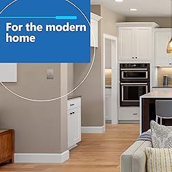 LIDER Brushed Finish Decorator Switch