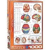 EuroGraphics Human Body (The Brain) 1000 Piece Puzzle