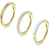 3pcs Nose Rings Hoops - 316L Surgical Steel Hinged Nose Hoops 16G/18G/20G CZ Clicker Septum Nose Ring Lip Helix Cartilage Hoop Earring Daith Rook Conch Body Piercing Jewelry for Women Men 8mm 10mm