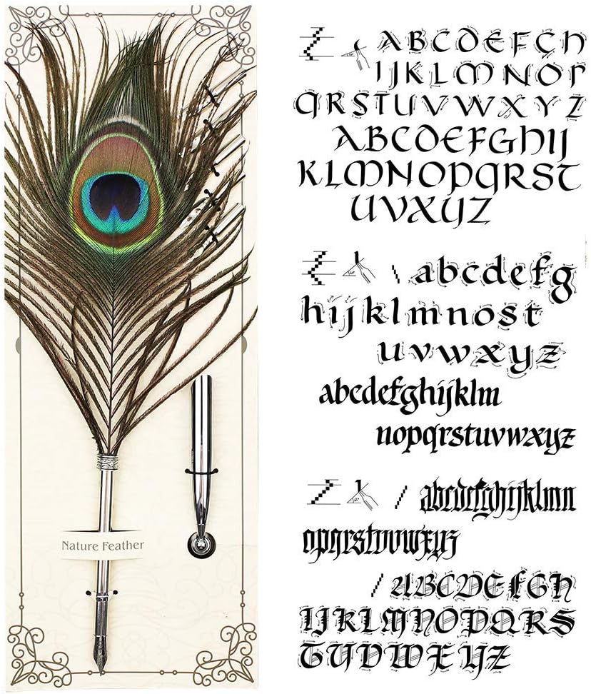 Peacock Feather Pen Set Antique Calligraphy Writing Quill Ink Dip Pen with Holder - Image 5