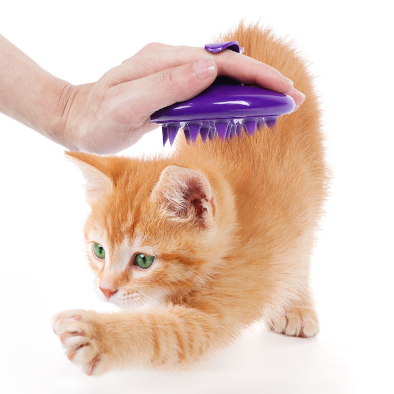 AmeiTech Ultra-Soft Silicone Pet Comb Small Dog Brush Cat Bath Brush Dog Grooming Pet Hair Brush Cat Massage Comb, Safe & No Scratching