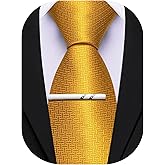 Barry.Wang Plaid Ties Mens Silk Necktie and Tie Clip Checkered Tie for Wedding Party Business Formal