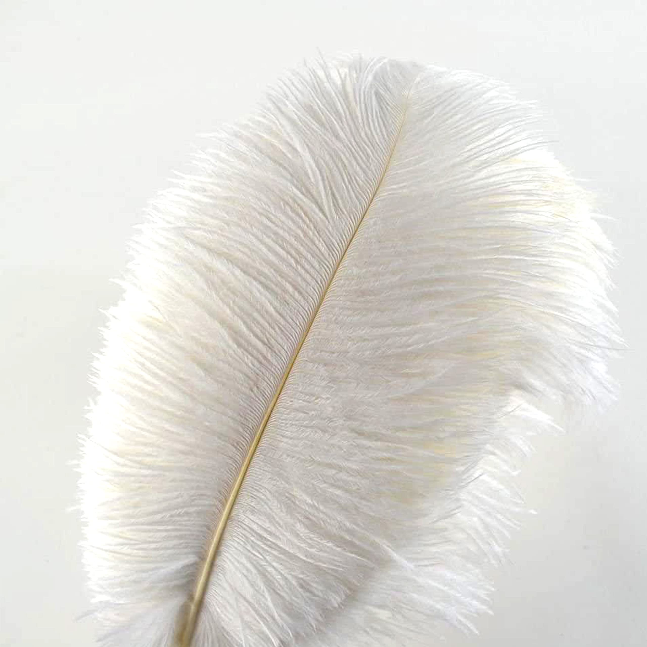 Crenze 10pcs ostrich feathers 12-14inch(30-35cm) for Home Wedding Decoration Offers 10 colors (White)