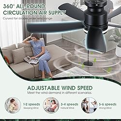 Modern Ceiling Fans with Lights and Remote/APP