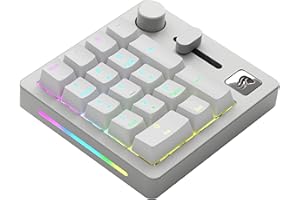 Glorious GMMK Mechanical Numpad- 10 Key USB Programmable Keypad - Hot Swappable, Volume Control, RGB Backlit, Wired & Wireless Bluetooth - Laptop & Keyboard Accessories- White
