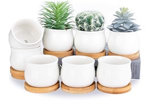SHECIPIN Succulent Plant Pot, White Mini 2.6 inch Ceramic Flower Planter Pot with Bamboo Tray, Pack of 8 - Plants Not Included