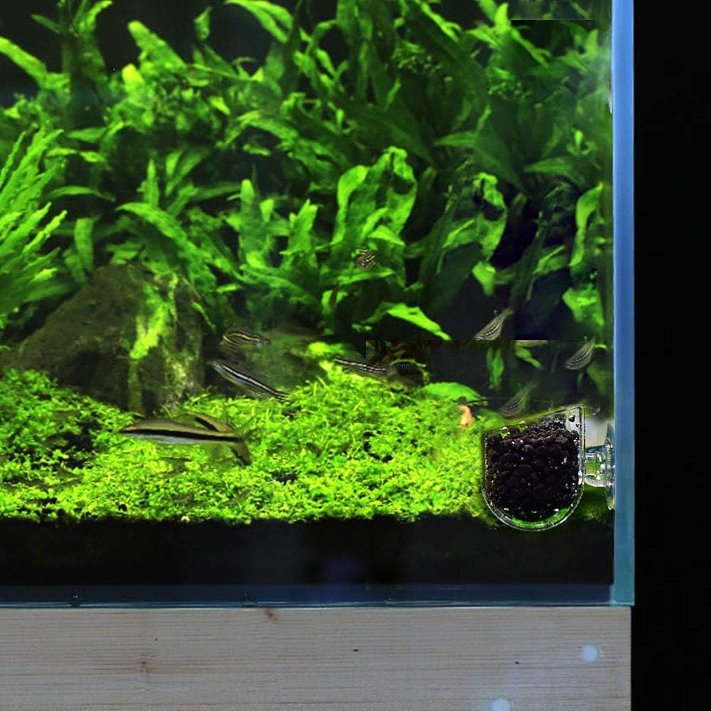 Amazon 吸盤付き 水槽用 フィーダーカップ 水槽用 餌入れ 餌やり器 ワームフィーダ 給餌器 熱帯魚 取り外し可能 魚エサ皿 アクリル 水族館 水槽 魚タンクに最適 アクアリウム 手軽 赤虫 赤いみみず L Pssopp 自動給餌器 通販