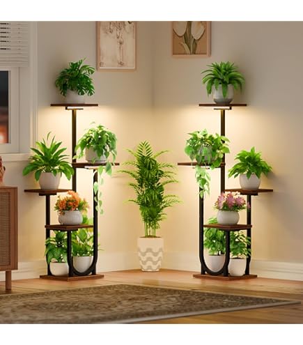 Window Plant Shelves KHayRovies 2 Tier Plant Stand Indoor Tall, Black Corner Tiered Round Plant Stand For Indoor Multiple Plants, Metal Flower Pot Stands Outdoor Holders Plant Shelf Display Rack For Balcony