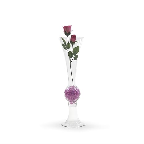 Amazon Com Wgvi Clear Medium Unique Trumpet Glass Vase Holder