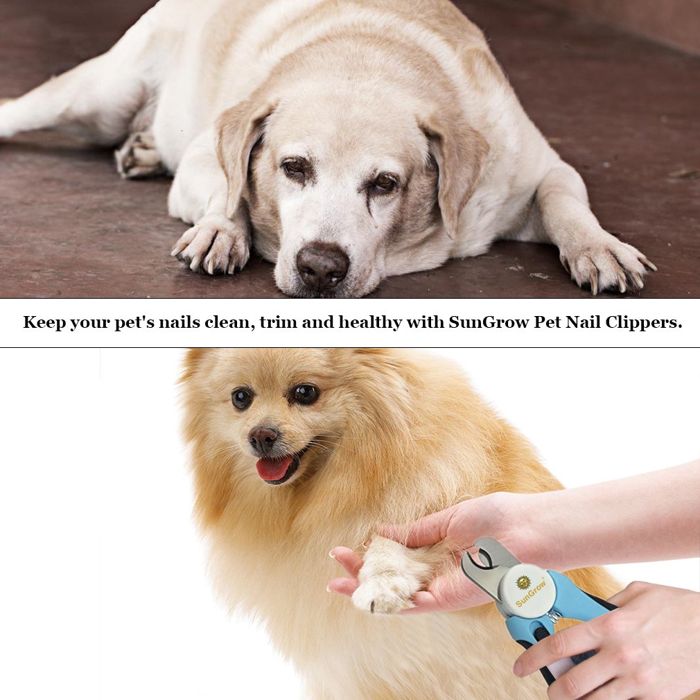 No pain Dog Nail Clipper & Trimmer -- Safety Switch to prevent over cut - 5-minutes to professional grooming - Safety Switch lock - In-built nail file to smooth edge - Razor sharp blade for clean cut