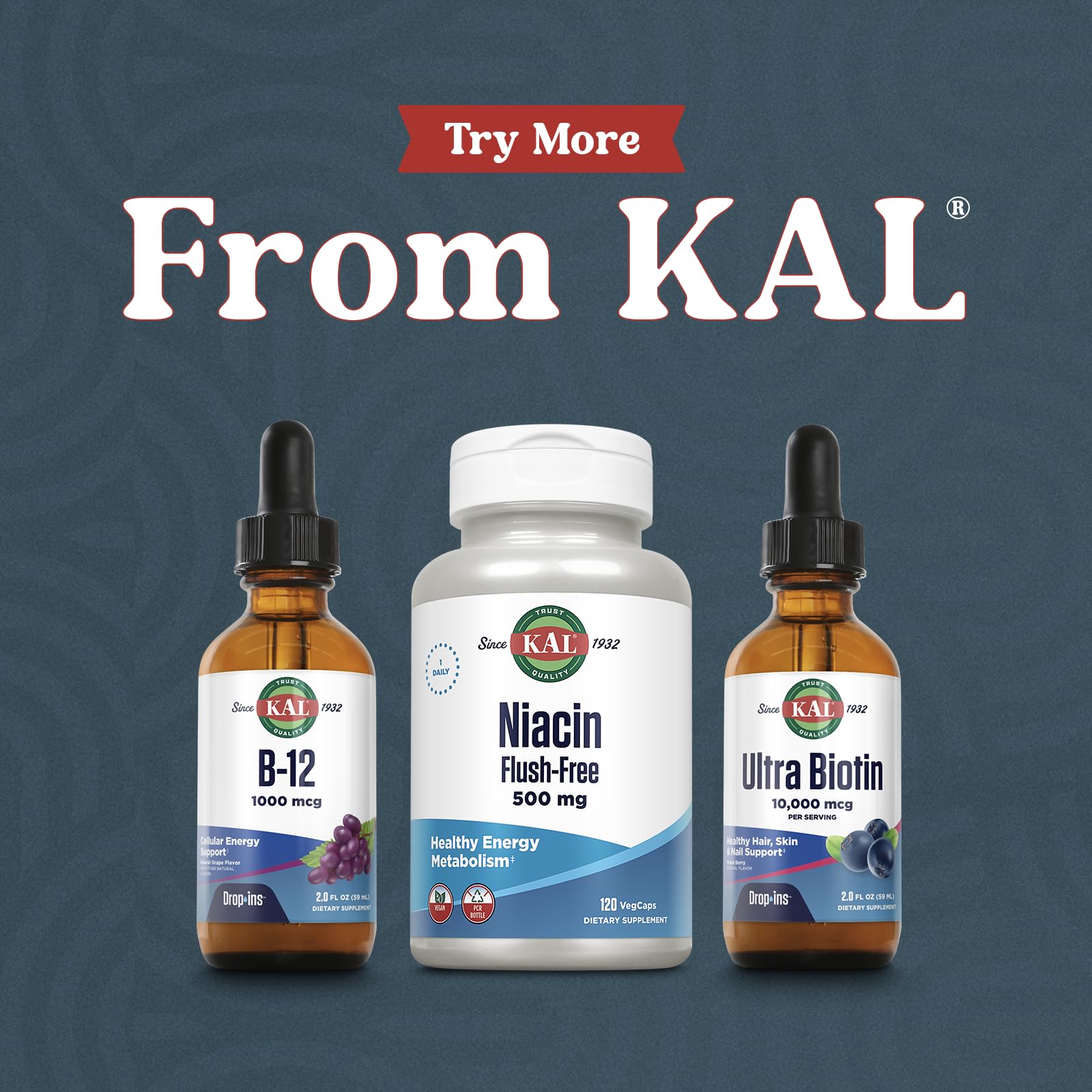 KAL B12 1000 mcg DropIns, High Absorption Liquid B12 Vitamin, Healthy Energy Supplements for Metabolism, Heart Health, Nerve, Red Blood Cell Support, Natural Grape Flavor B12 Drops, 196 Servings, 2oz