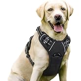 rabbitgoo Dog Harness, No Pull for Large Dogs with 2 Leash Clips, Pet Vest | No Choke with Handle, Adjustable Soft Padded, Reflective, Easy Control for Walking, Black, Large