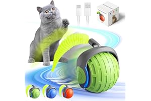 ELODSA 2025 New Interactive Cat Ball Toy Cat Toys for Indoor Cats,Cat Rotating Ball Toy,Automatic Moving Cat Balls for Bored Indoor Adult Cats,360°Automatic Rolling Ball Toy Electric Dogs/Cat Balls (Green)