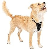 Kurgo Enhanced Strength Tru-Fit Dog Car Harness - Pet Travel Safety Harness - Crash Test Certified Fit - Five Point Adjustmen