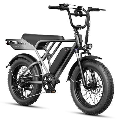 Jasion RetroVolt Electric Bike for Adults, 2000W Peak - 30MPH Electric Dirt Bike, 48V 13AH Battery, 70Miles Max Range Electric Motorcycle, 20'' X 4'' Fat Tire All-Terrain E-Bike