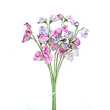 Floristrywarehouse Artificial silk Sweetpea pink