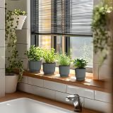 T4U Small Self Watering Plant Pots Indoor 6 Pack 11.5cm Grey Plastic view 8