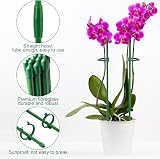 Realure Orchid Sticks 30 cm Pack 15 Adjustable Plant Support Trellis view 5