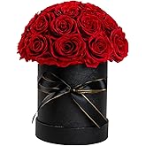 Hover Flower 27 Preserved Flowers for Delivery Prime, Roses Dome Forever Flower Decor for Party Home Table Bedroom, Anniversary, Birthday, Wedding Gifts for Women Her (Red)