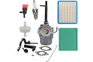 Wellsking 591378 Carburetor for Briggs and Stratton Troy Bilt Coleman Powermate 5500 5000 6000 5550 6250 6500 Generator Parts 697978 796321 696132 696133 796322 699966 695918 Carb Kit