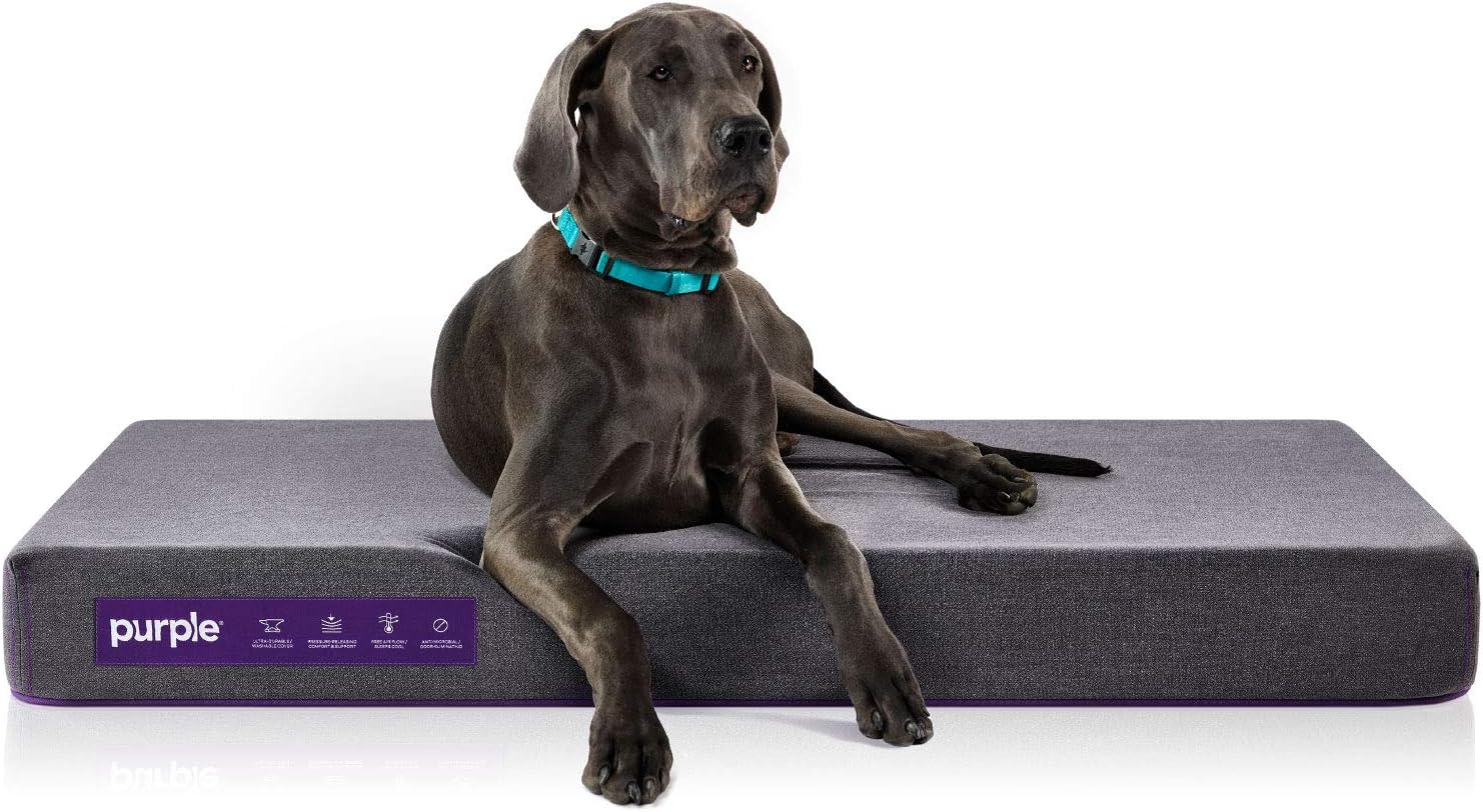 Purple The Pet Bed