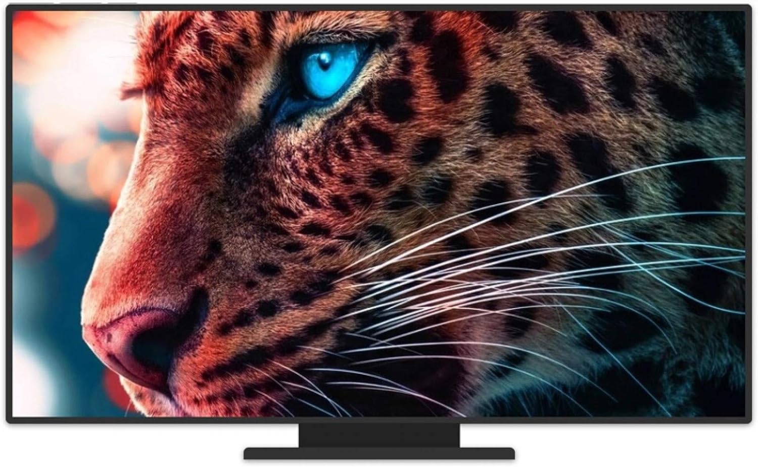 N / A Lienzo de Pared Pinturas de Animales Modernos con Carteles e