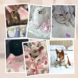 Pet Soft Pet Soft 3Pack Washable Fluffy Dog Cat Blankets Small 3S view 7