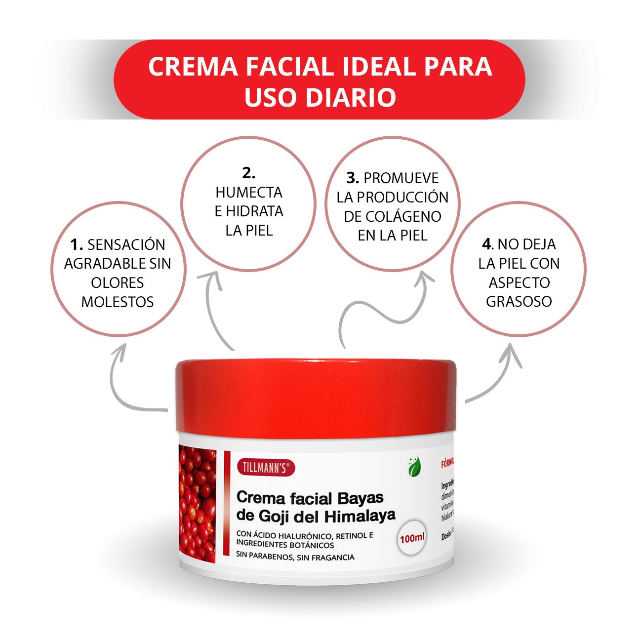 Tillmann\'s Goji Cream 100ml - Crema Hidratante Facial Bayas De Goji - Mascarilla Antiedad Goji Berries Con Acido Hialuronico Y Retinol - Sin Parabenos