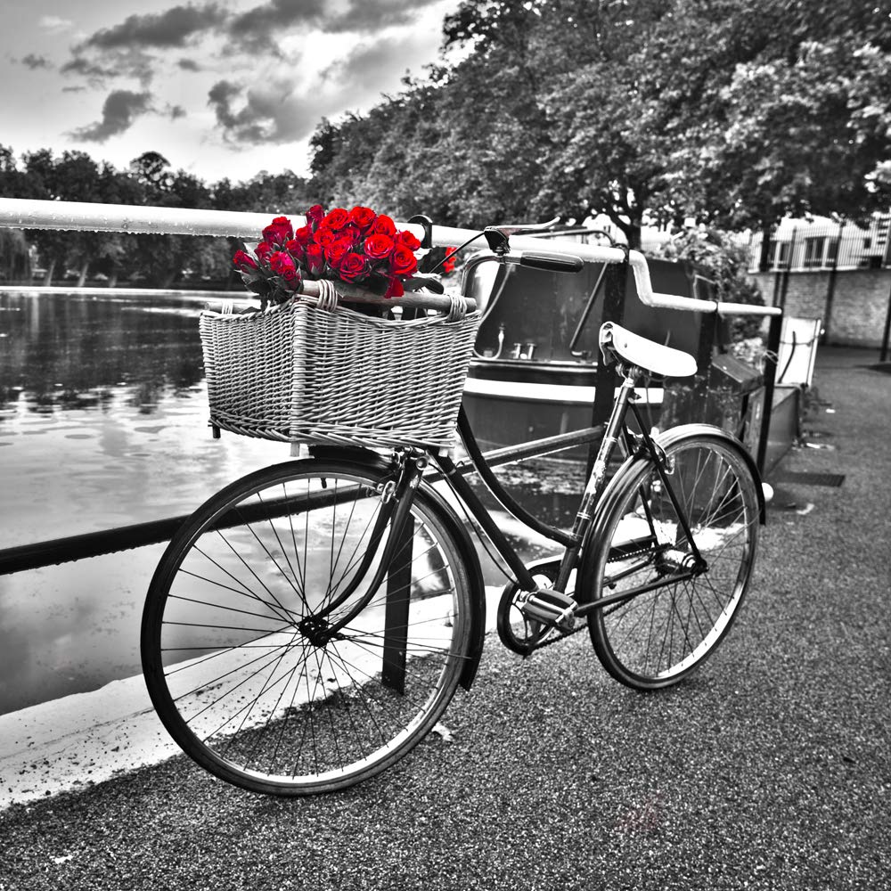 International Graphics - Finished Picture - Assaf, Frank - ''Romantic Roses I''- 30 x 30 cm - Direct printing on acrylic glass