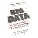 Big Data: A Revolution That Will Transform How We Live, Work and Think