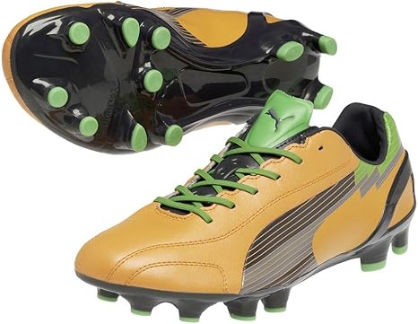 puma evospeed 1 k
