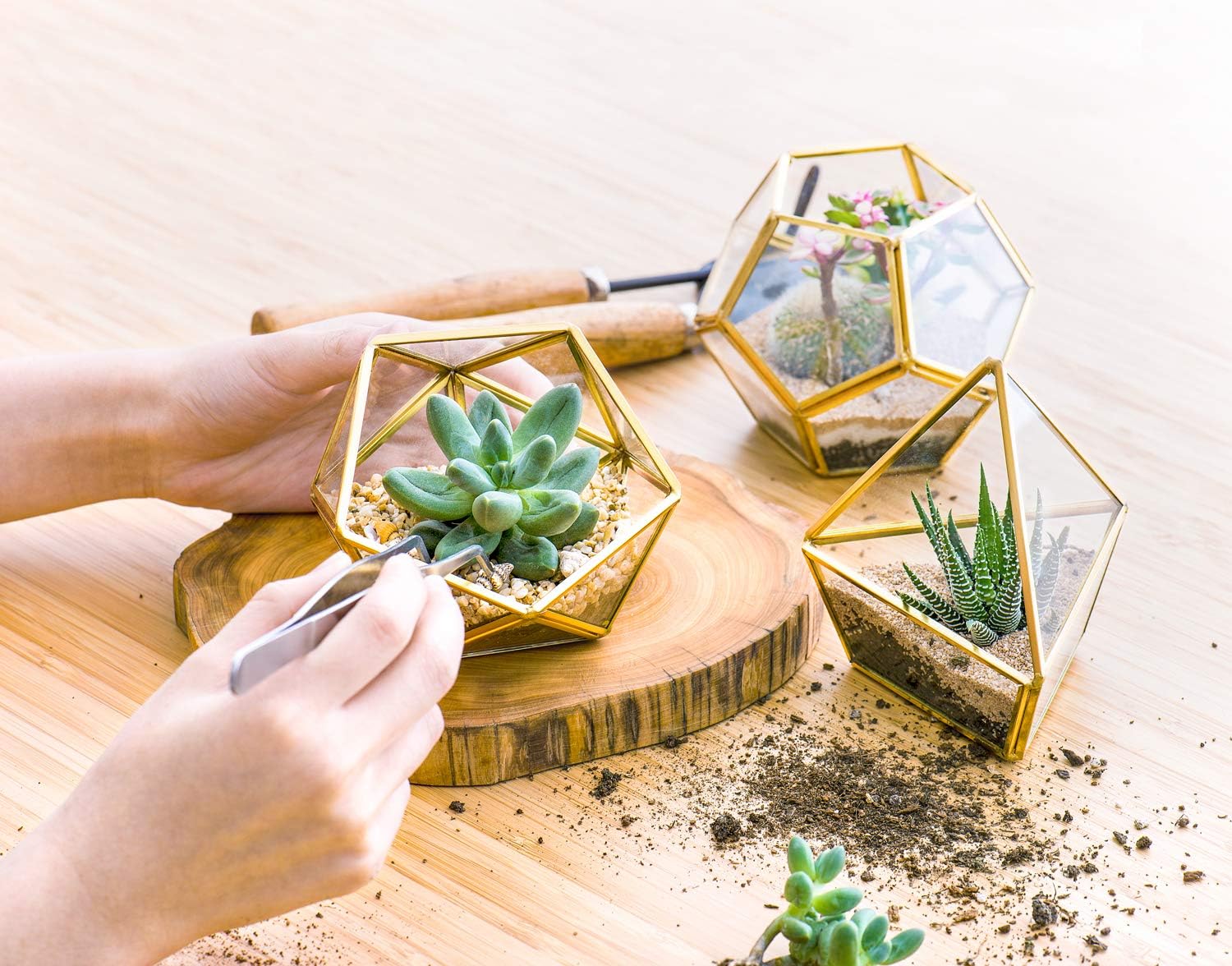Mkono Office Decor for Desk, 3 Pack Mini Glass Geometric Terrarium with Artificial Succulent, Miniature Potted Faux Plant Bookshelf Boho Room Decor for Women Girls College Dorm Wedding Gift Idea, Gold -