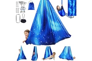 WUBOTIYU Sensory Swing for Kids Indoor & Outdoor Double Layer Therapy Cuddle Hammock Chair with 360 Swivel Hanger Kit Adjustable Swing for Child and Adult with Aspergers Autism ADHD (Star Blue)
