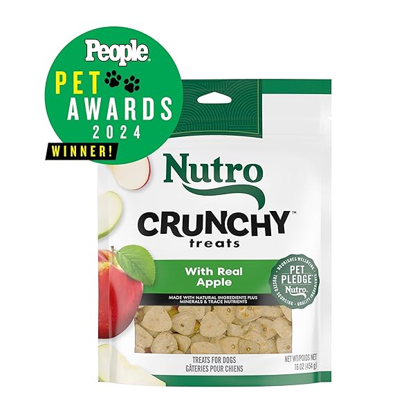 NUTRO CRUNCHY DOG TREATS WITH REAL APPLE, 16 OZ. BAG