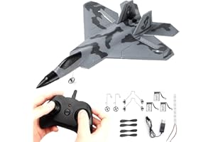 BEHORSE RC Plane -F22 Raptor Model Toy Airplane Glider, 2 Channels 2.4 GHz Remote Control Airplane Easy to Fly RC Jet,Kids & Beginners F22 Easy to Fly Toy for Fighter Model Glider