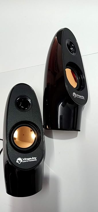 vingajoy speaker with mic