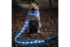 Illumifun LED Dog Leash, USB Rechargeable Glowing LED Lead, 4 FT Nylon Light Up Leashes for Dogs Wlaking at Night (BlueⅡ)