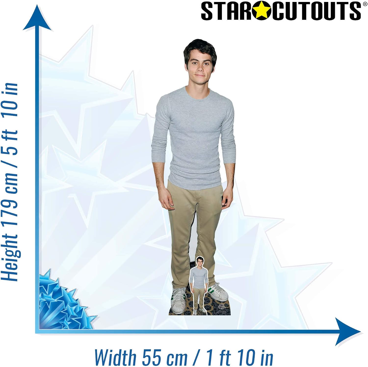 CS884 Dylan O'Brien Grey Shirt Lifesize Cardboard Cutout With Free Mini Standee Great for Fans Gifts, Birthdays & Parites - Image 3
