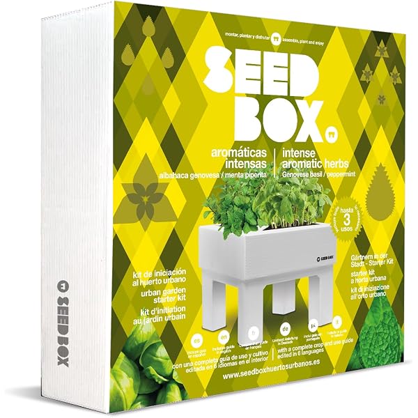 SeedBox SBCUHB-Hierba Buena: Amazon.es: Jardín