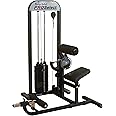 Body-Solid GCAB-STK/3 Pro Select Ab and Back Machine with 310-Pound Weight Stack, Home and Commercial Gym, Grey, Black