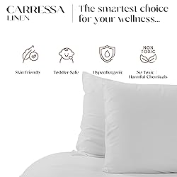 Carressa Linen 100% Organic Cotton Queen Pillow