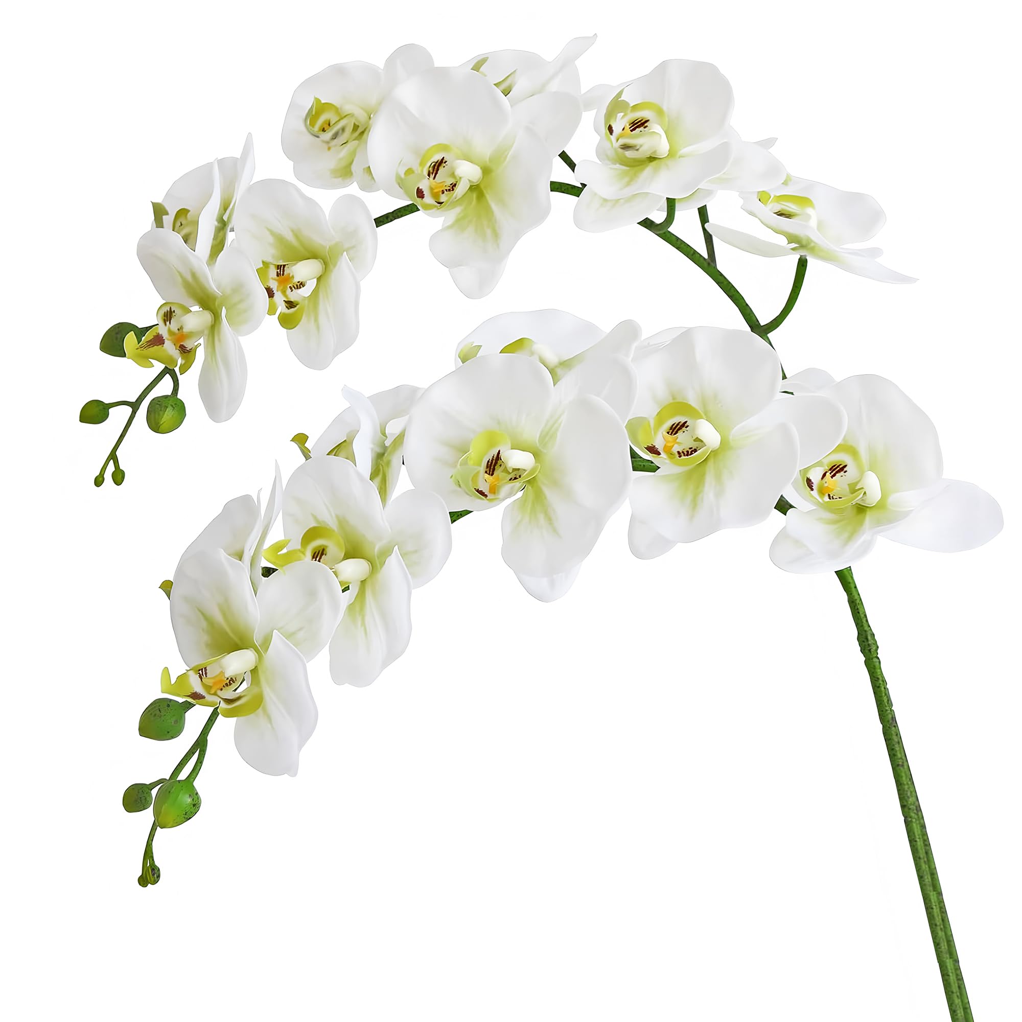 Photo 1 of Htmeing 38 Inch Artificial Phalaenopsis Flowers Branches Real Touch (Not Silk) Orchids Flowers for Home Office Wedding Decoration,Pack of 2 (Green White)