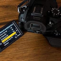 Panasonic Lumix DC-FZ82 - Cámara Bridge de 18.1 MP (Zoom de 60X ...