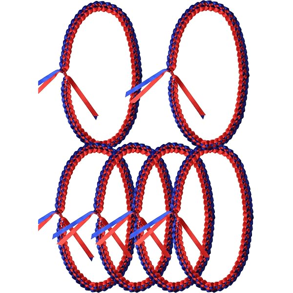 TFTAFAN Graduation Leis & Honor Cords - Class Of 2025 Ribbon Lei & Braided Cord Set, Polyester, Multi-Color