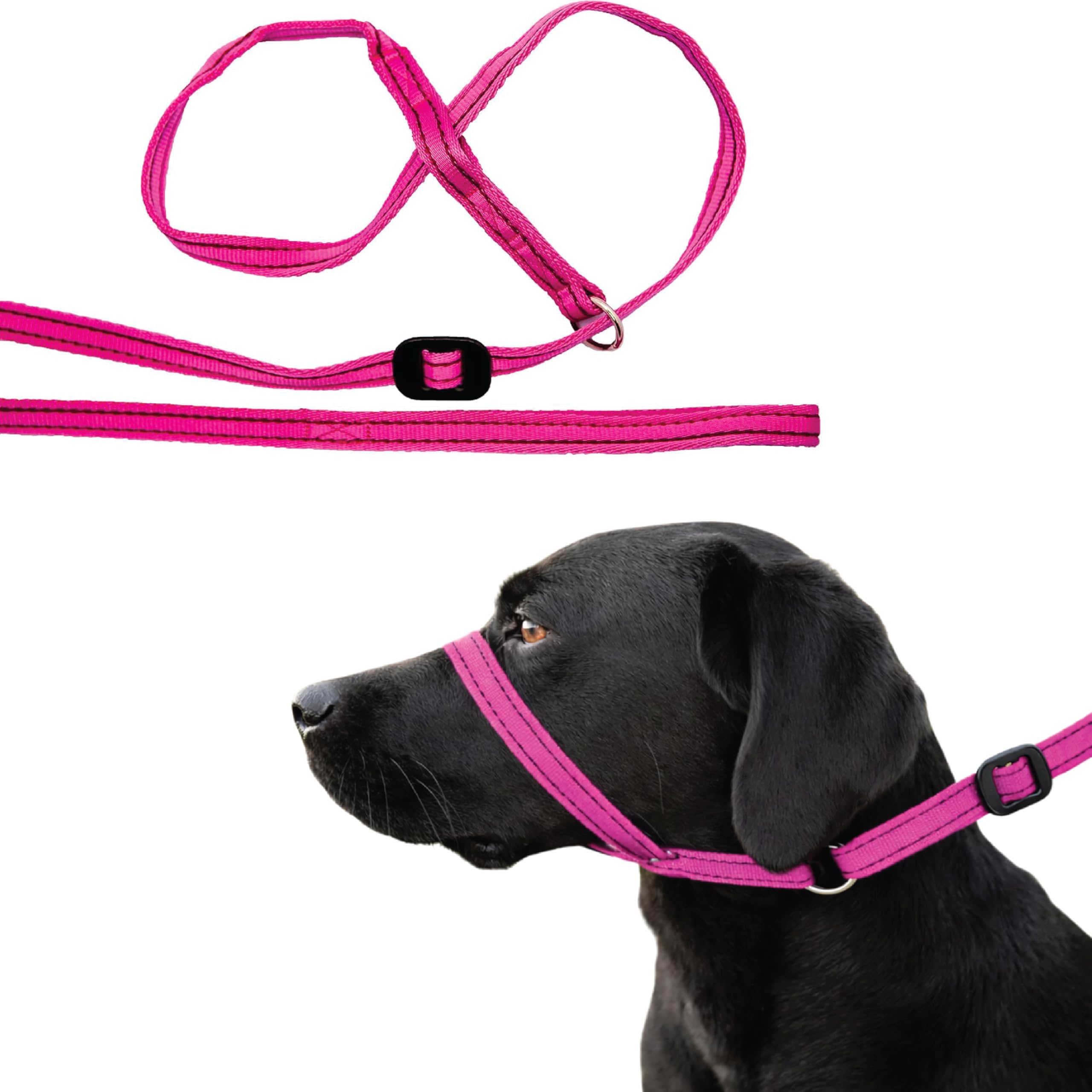 Gencon - All-in-One Anti Pull Dog Lead and Headcollar - Trainer Approved - Figure of 8 Dog Lead with Soft Loop Handle, Gentle Control - Right Hand - Washable - UK Made - Pink/Burgundy