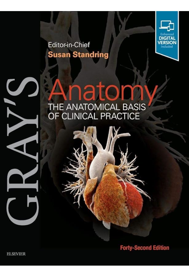 Gray's Anatomy for Students: 9780323934237: Medicine & Health