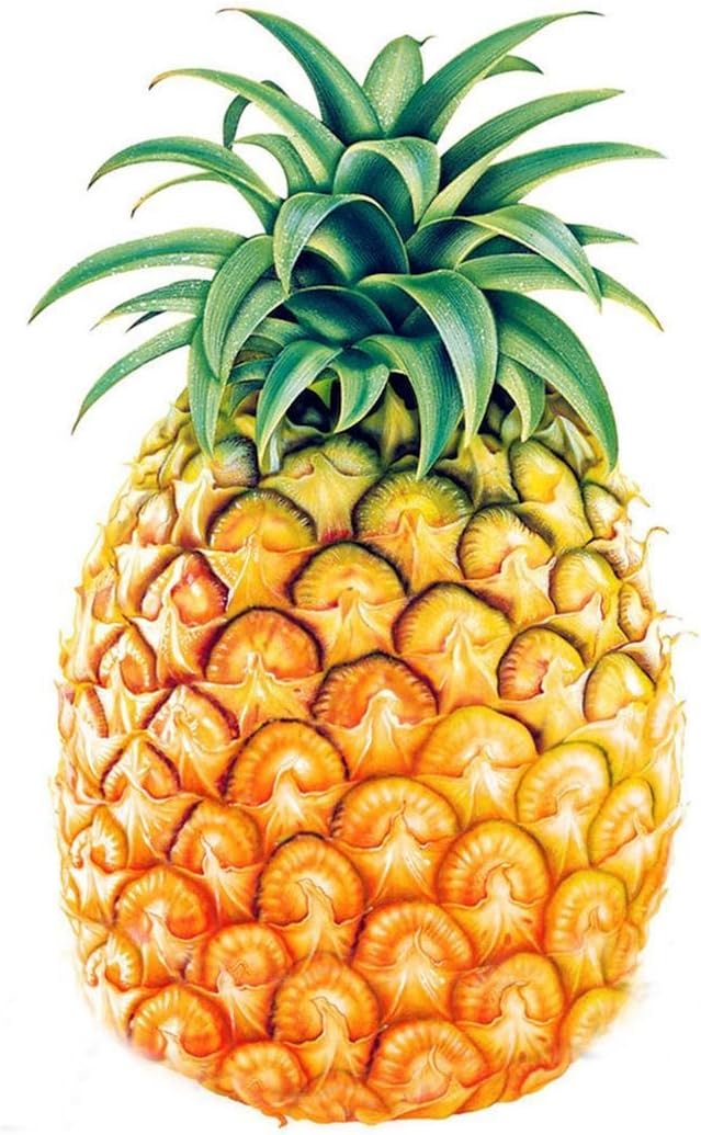 Ncient 100 Unids Semillas Piña Semillas Comestibles Frutas de ...