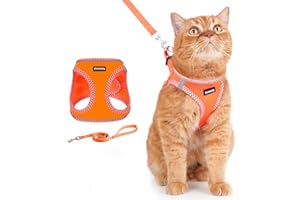 Rttochfy Cat Harness and Leash Set, Escape Proof Kitten Harness, Soft and Breathable Vest with Reflective Strip, Easy to Wear for Cats Walking and Traveling (Orange, M)