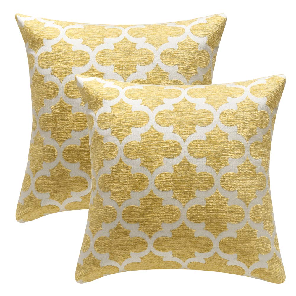 Set of 2 Square Decorative Throw Pillow Cases Soft Microfiber Outdoor